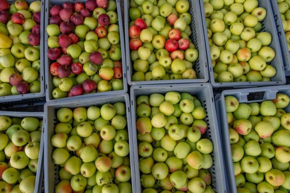 adr razem z żywnością